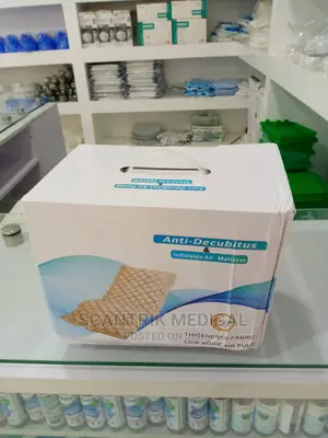 Affordable Anti Bedsore Alternating Pressure Mattress