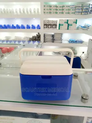 5L Mini Medical Outdoor Foam Vaccine Cooler