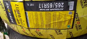 Austone Tires Roadx Tires Dunlop Tires Bridgestone Tires
