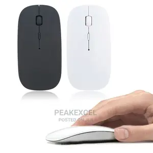 Photo - White Ergonomic Mouse Inside Usb Receivers 2.4G Wireless Fla