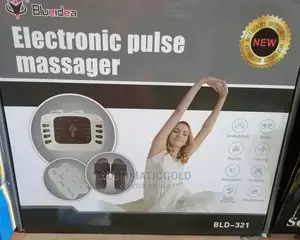 Electronic Pulse Massage