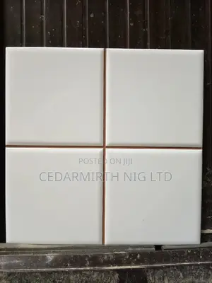 White Draft Spanish Wall Tile ( Arch Blanch)