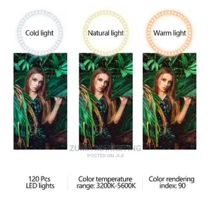 10'' LED Ring Light With Remote Control and Tripod Stand