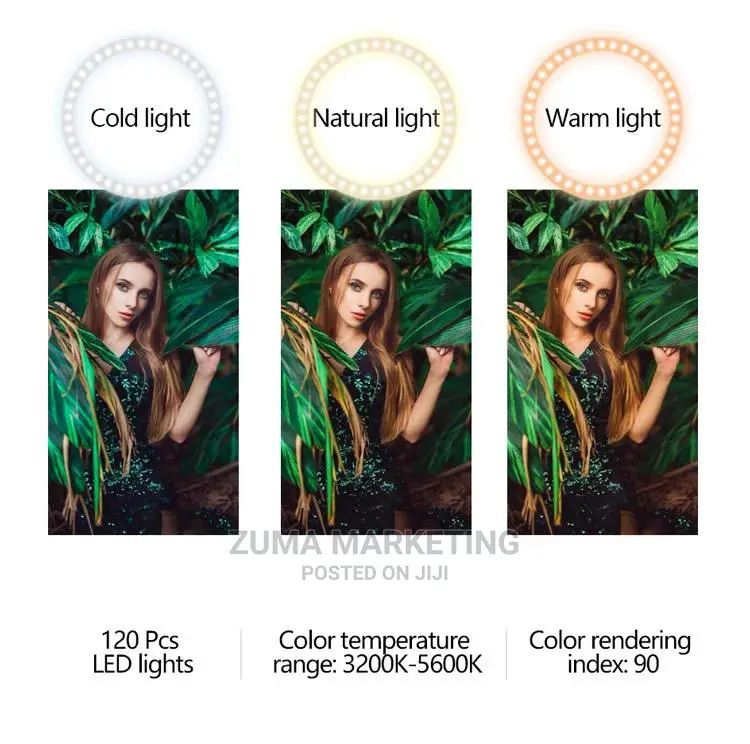 10'' LED Ring Light With Remote Control and Tripod Stand