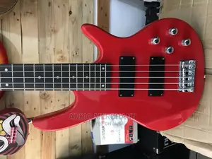 Professional 5 Strings Bass Guitar