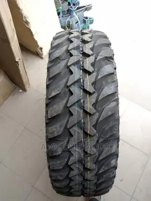 Bridgestone Tires Dunlop Tires Michelin Tires Austone Tires