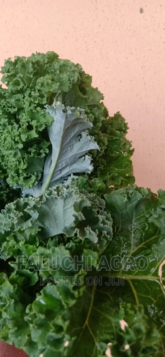 Kale Vegetable Leaf .