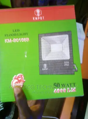 50 Watts Flood (Security) Light