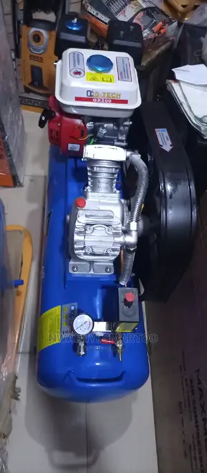 6.5hp 100l Spraying Machine