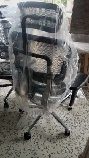 Office Chair (Orthopedic)