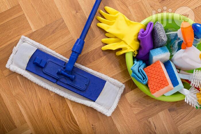Professional Cleaners
