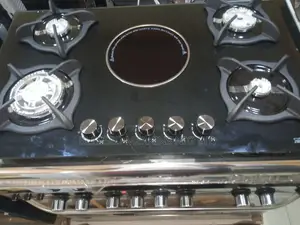 Polystar Inbuilt Gas Cooker