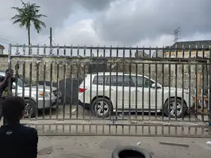 See Through Stainless Steel Gates