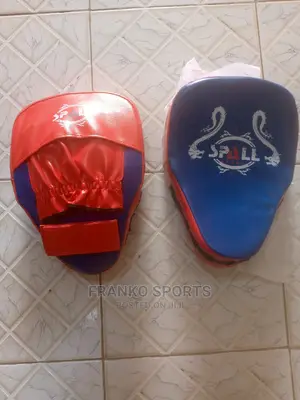 Boxing Training Pad