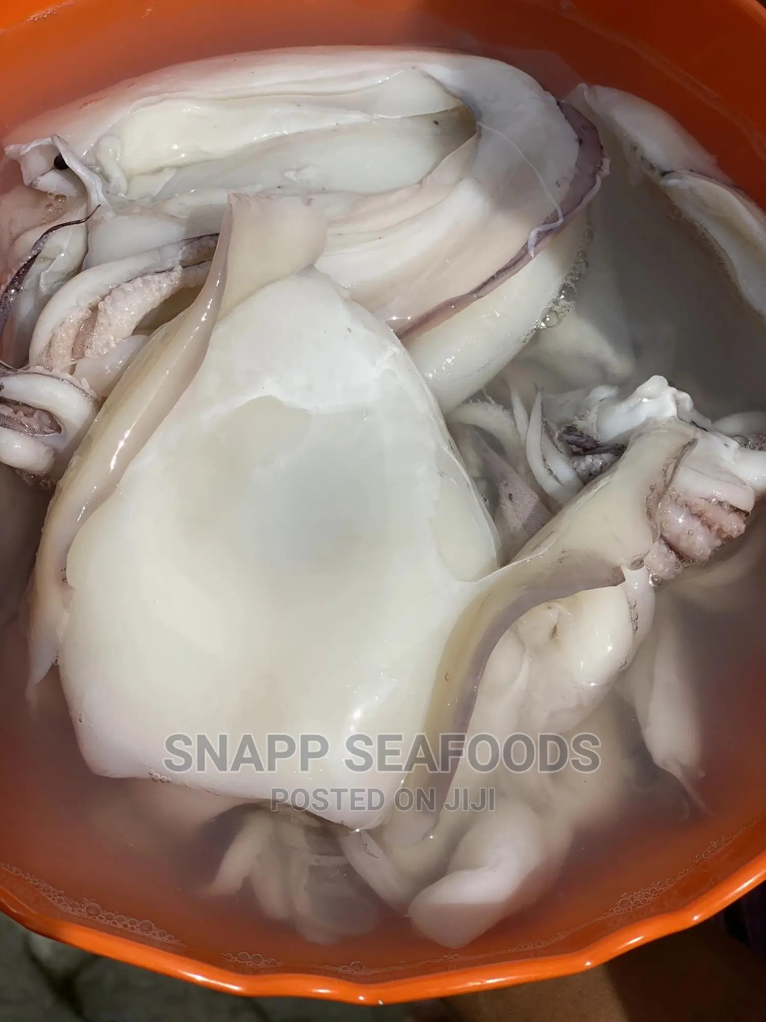 Fresh Peeled Calamari