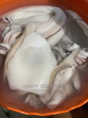 Fresh Peeled Calamari