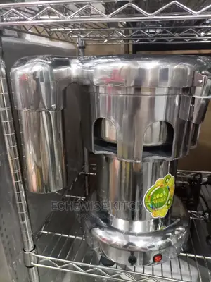 Commercial Juice Extractor