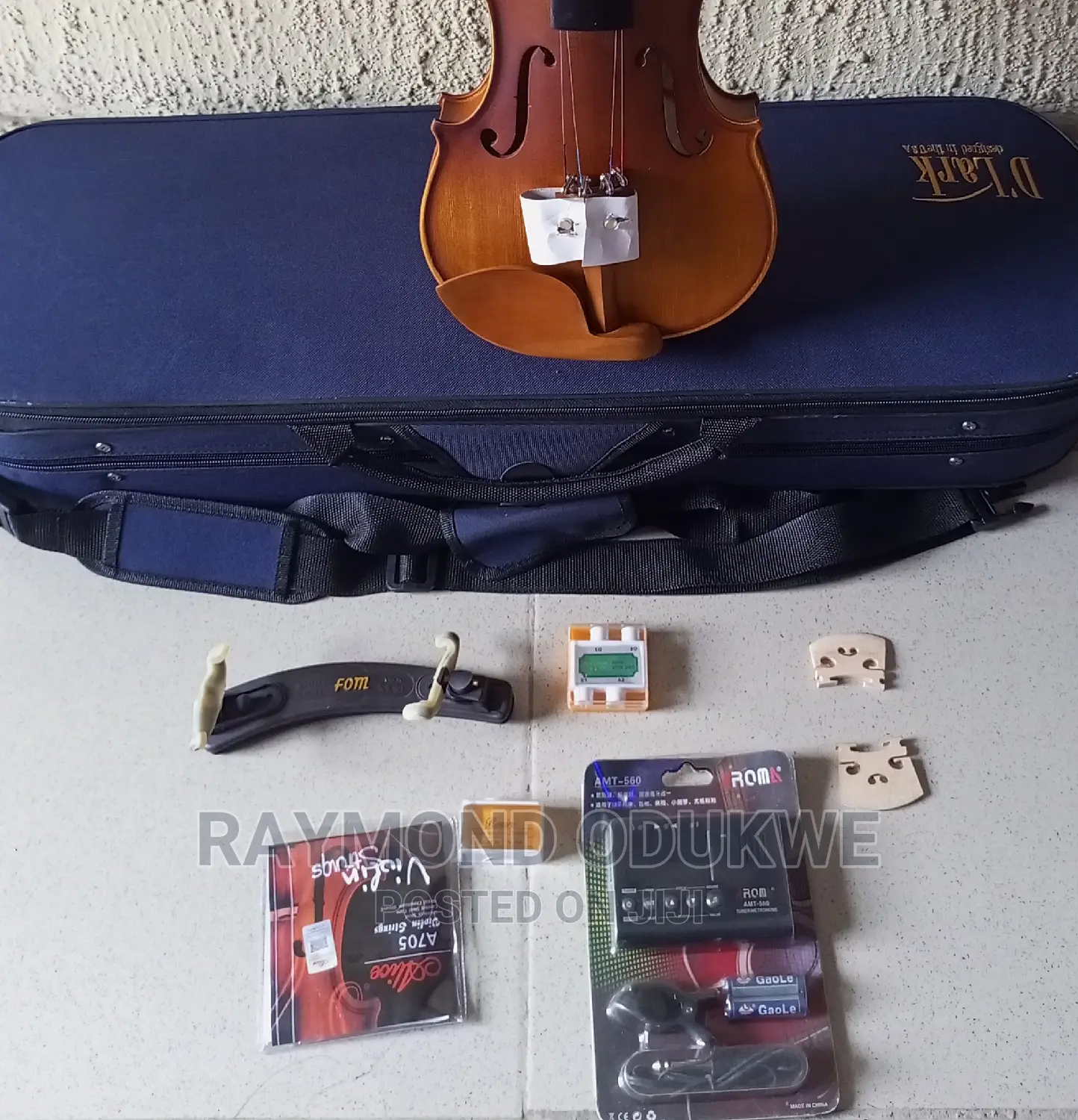 D-Lark Professional Concert 4/4 Violin