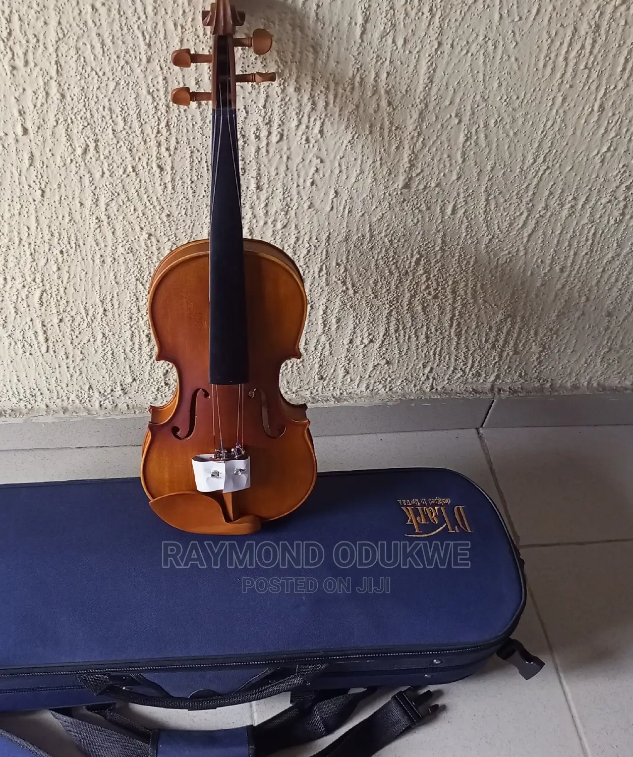 D-Lark Professional Concert 4/4 Violin