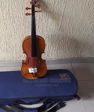 D-Lark Professional Concert 4/4 Violin