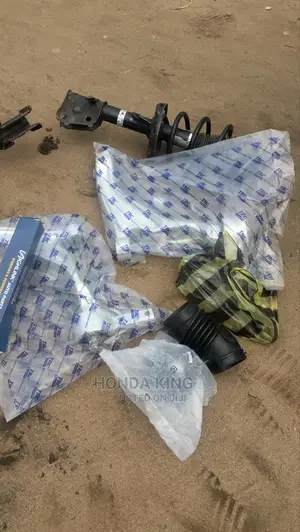 Front Shocks, Lower Arms, Linkages, Tie Rods Bushings Zdx