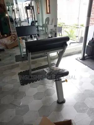 American Fitness Scott Bench
