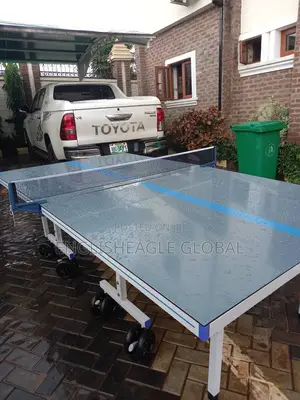 Original Joola Outdoor Table Tennis