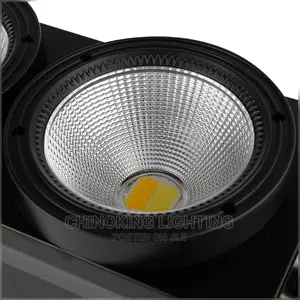 200W 2-Head COB Cool Warm White 2 in 1