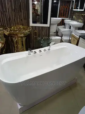 Executive Bath Tub With Mixers