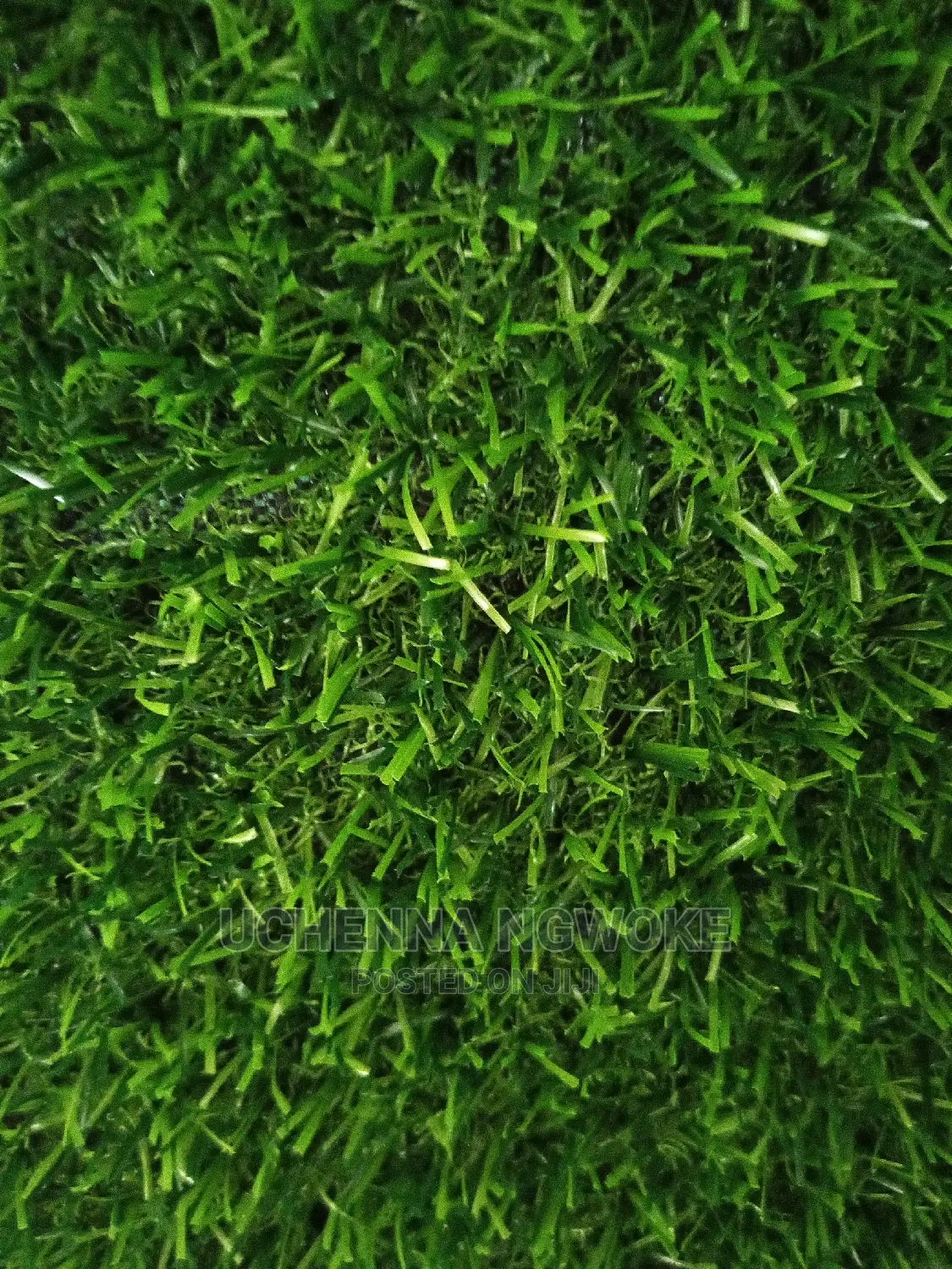 High Quality Green Grass
