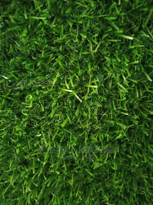 High Quality Green Grass