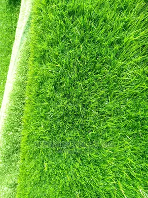 Grass Rugs