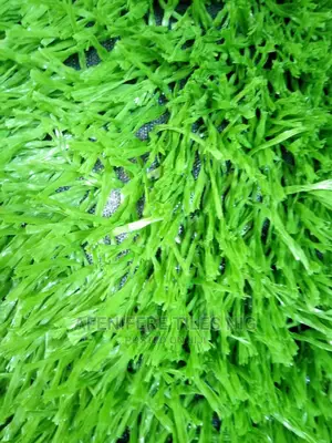Grass Rugs