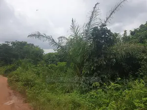 100 Acres of Dry Land at Igbonla Epe for Sale