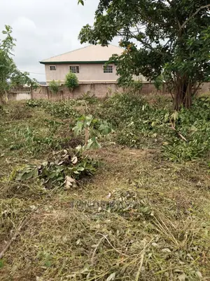 6 Plots of Land With Registered Survey at Kobo Behind Atma