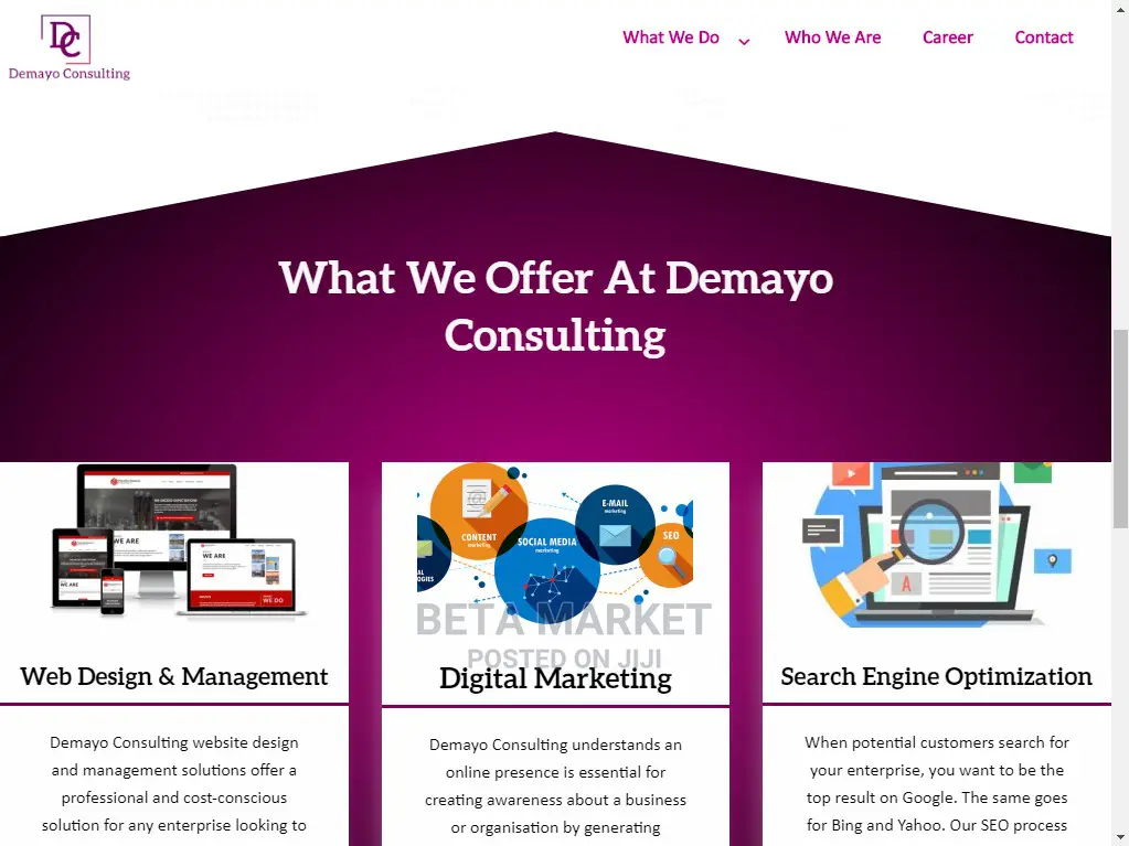 Promo Website Design and Development