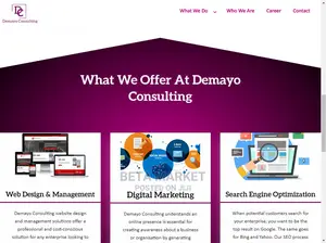 Promo Website Design and Development