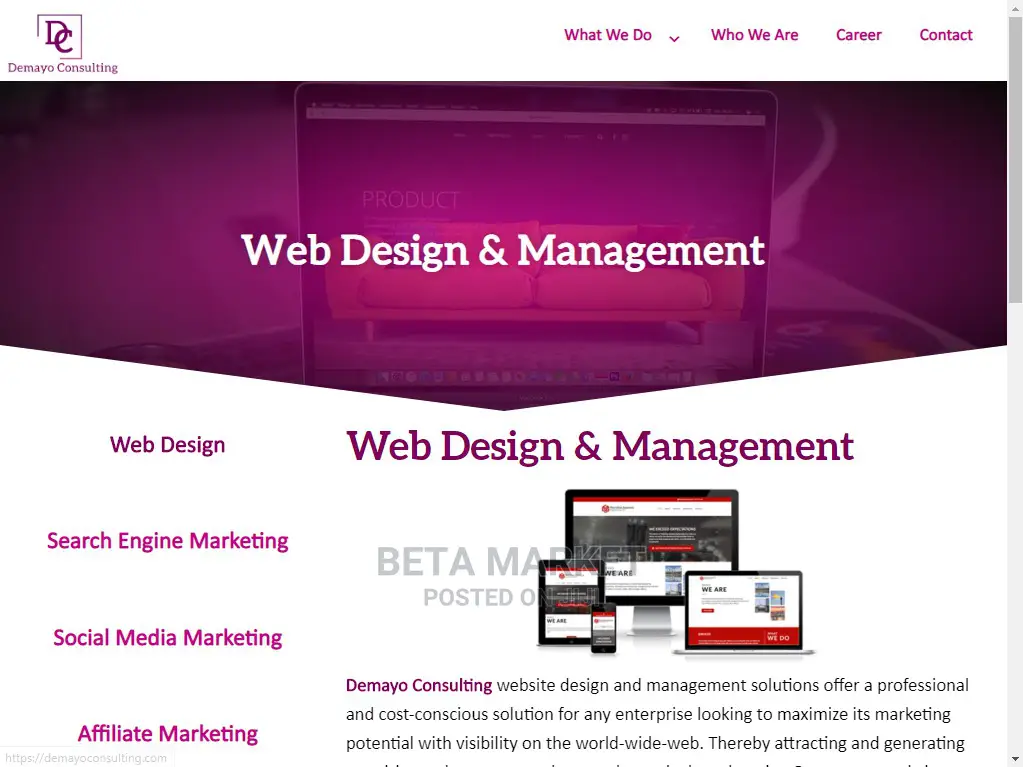 Promo Website Design and Development