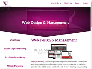 Promo Website Design and Development