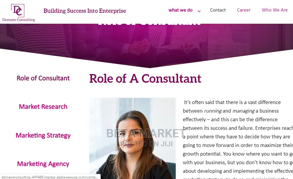 Promo Website Design and Development