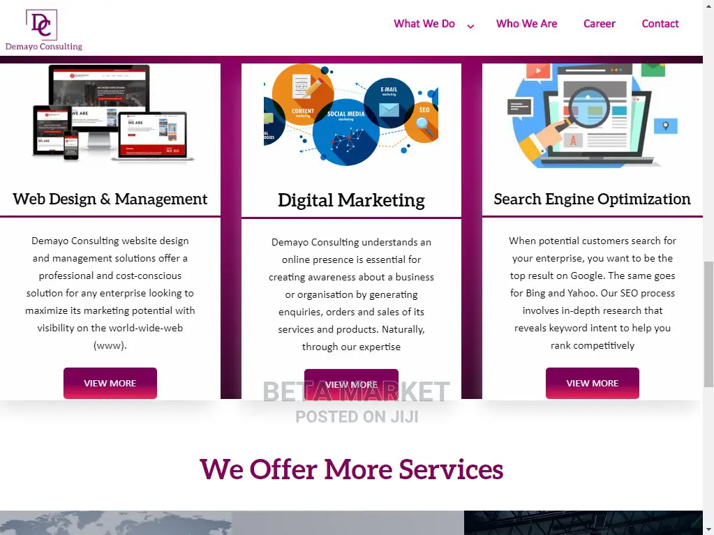 Promo Website Design and Development