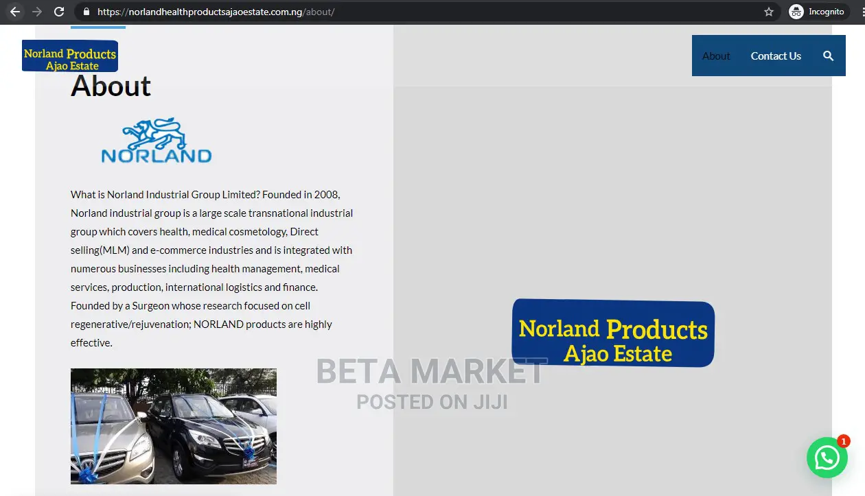 Promo Website Design and Development