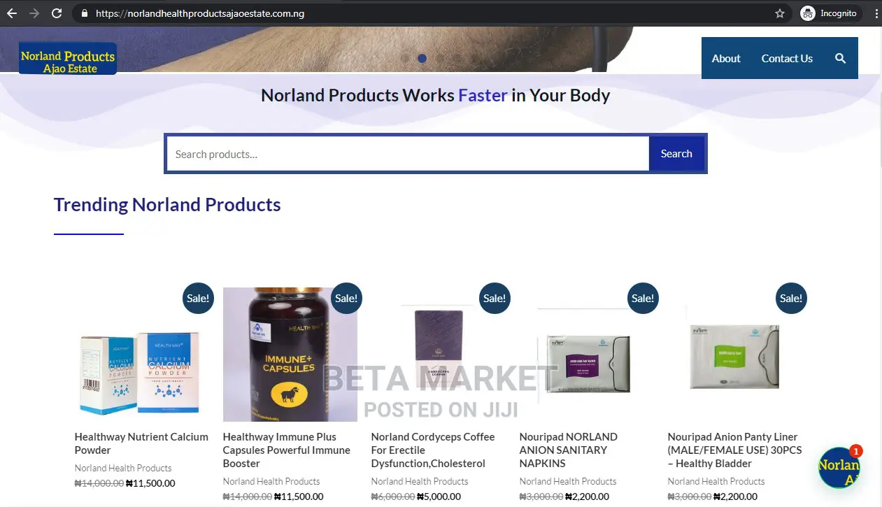 Promo Website Design and Development