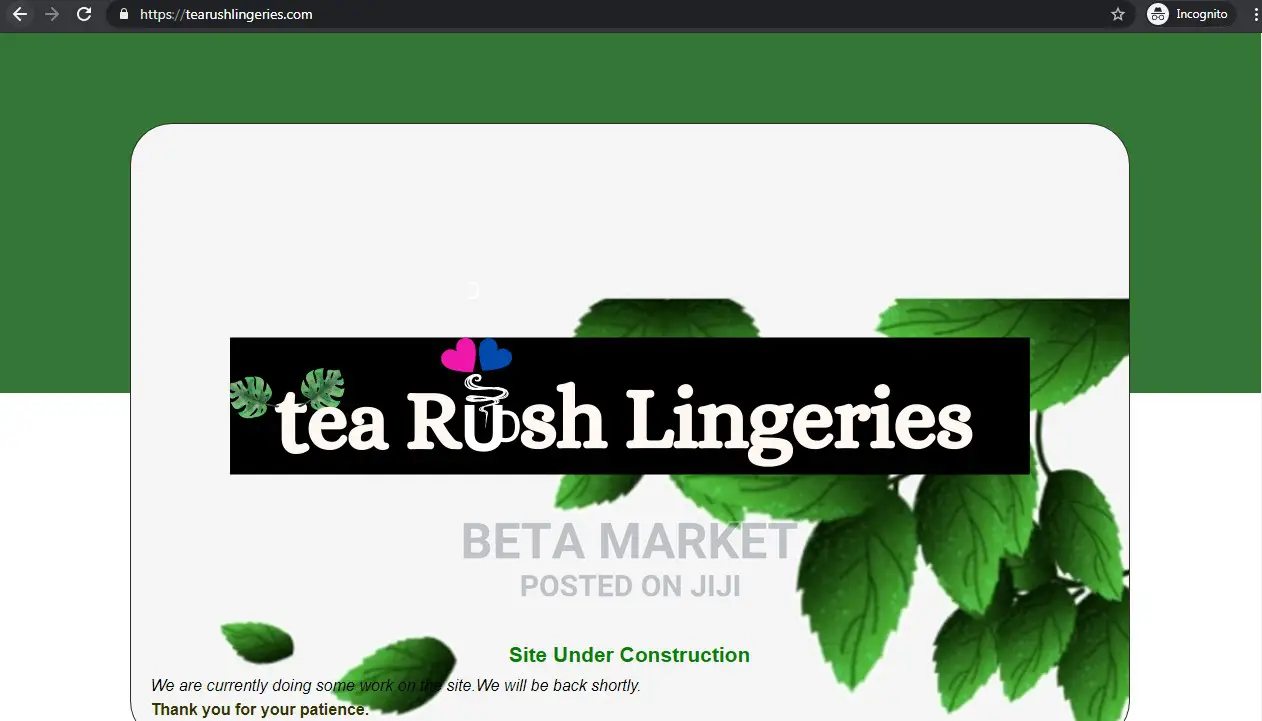 Promo Website Design and Development