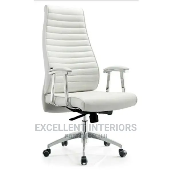 Ergonomic Long Back Office Chair.