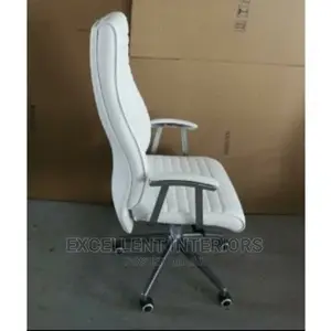 Ergonomic Long Back Office Chair.