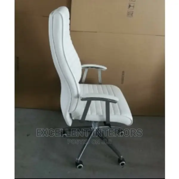 Ergonomic Long Back Office Chair.