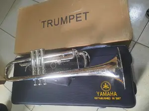 Silver Colour Trumpet
