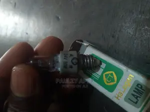 Microscope Bulb (Screw)