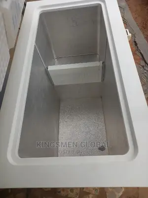 Whirlpool Chest Freezer for Frozen Food Business 300litre